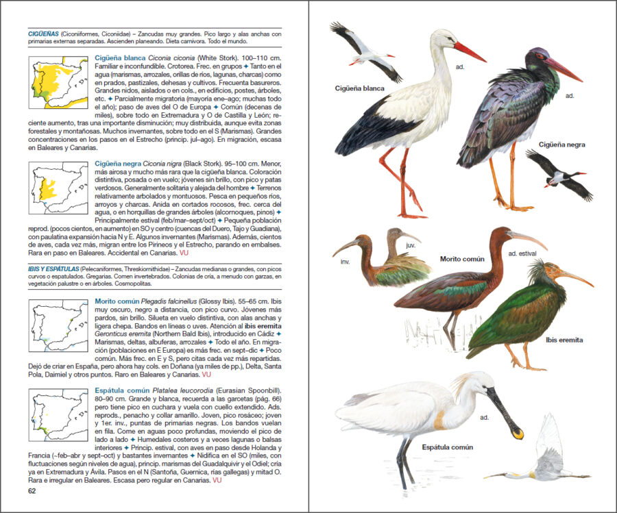 Página de muestra de Aves de España